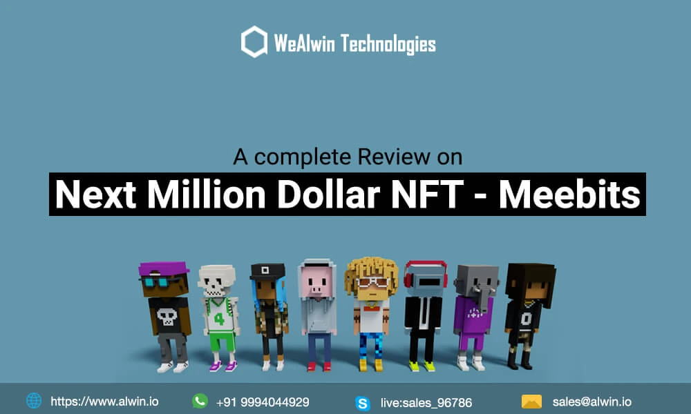 Review on Next Million Dollar NFT - Meebits | NFT Marketplace Development